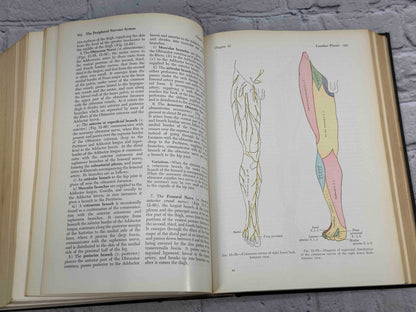 Gray's Anatomy (28th Edition)