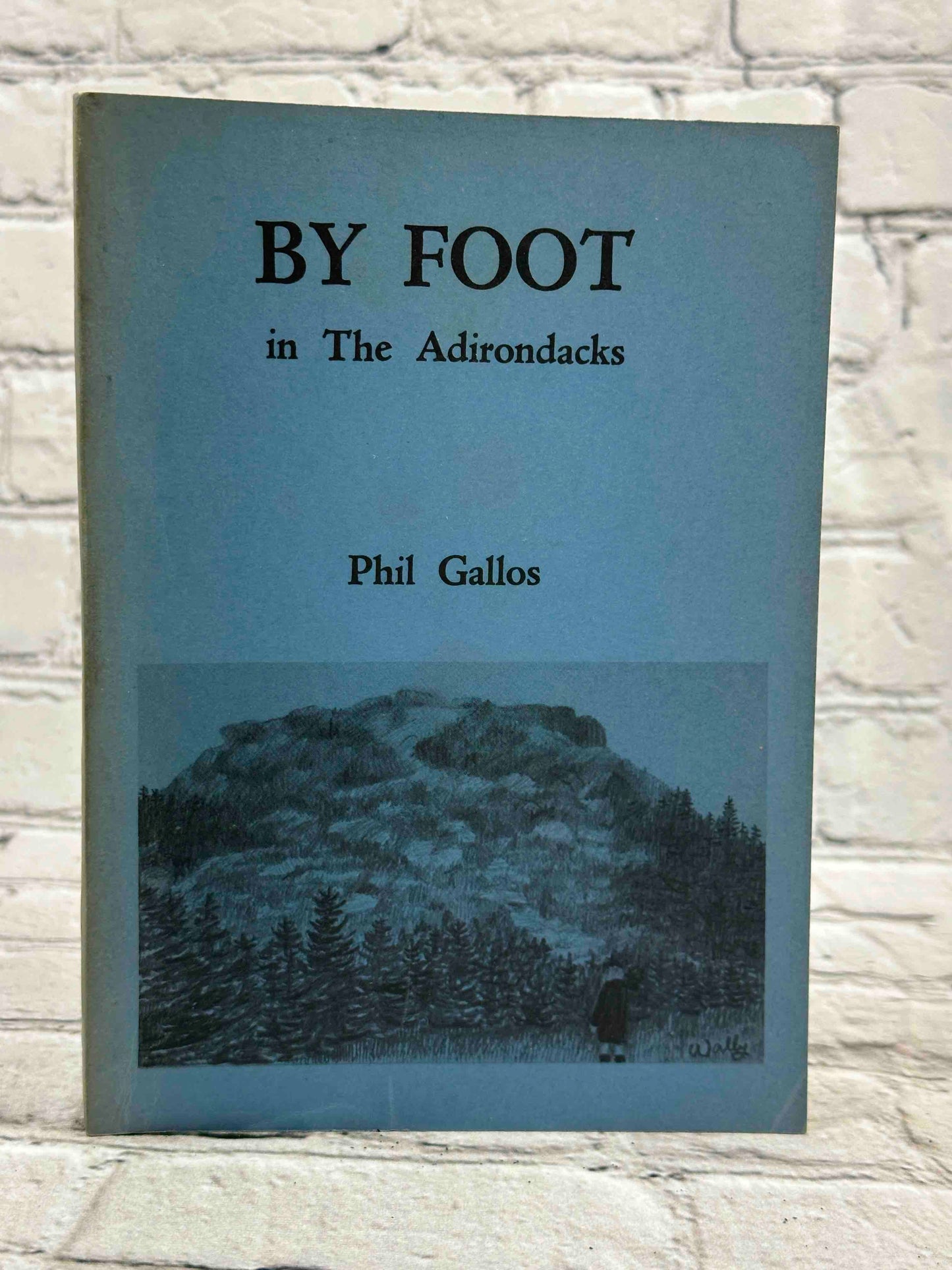 By Foot in the Adirondacks