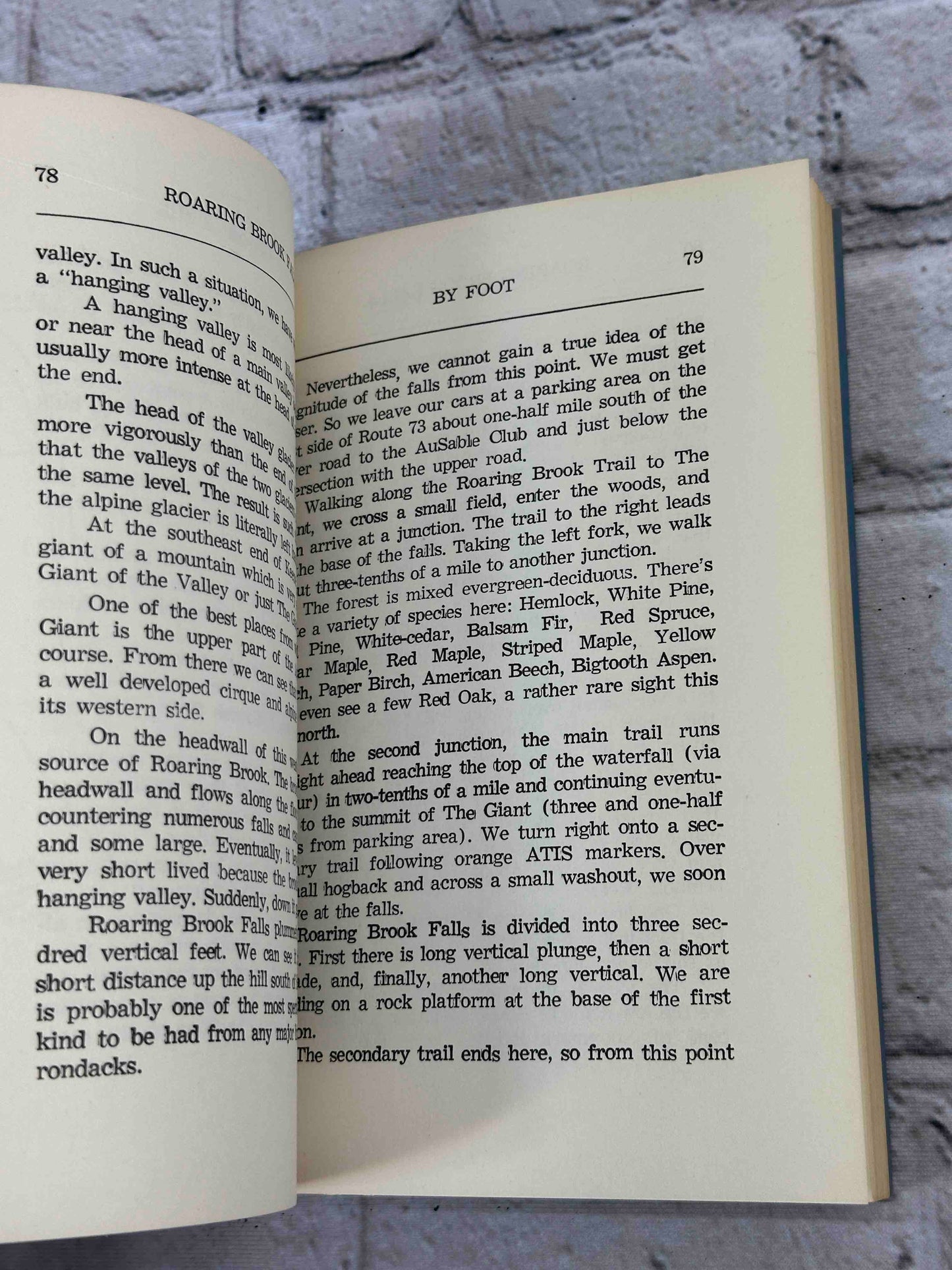 By Foot in the Adirondacks