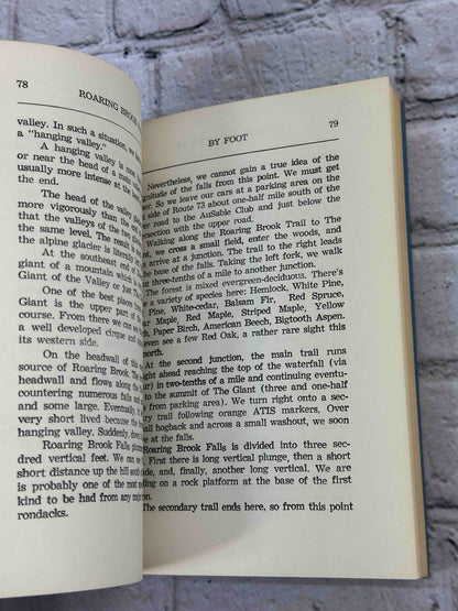 By Foot in the Adirondacks