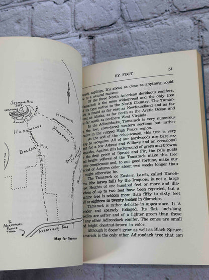 By Foot in the Adirondacks