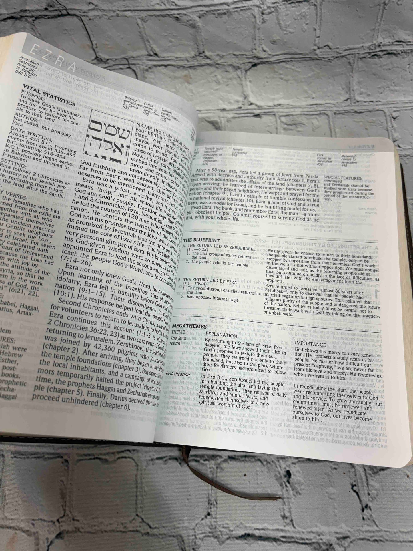 Life Application Study Bible New International Version