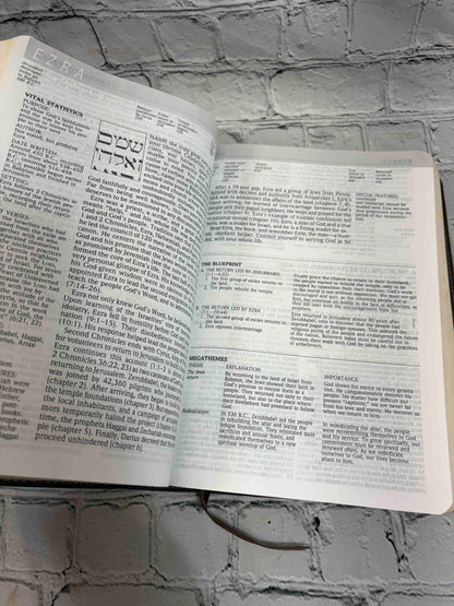 Life Application Study Bible New International Version