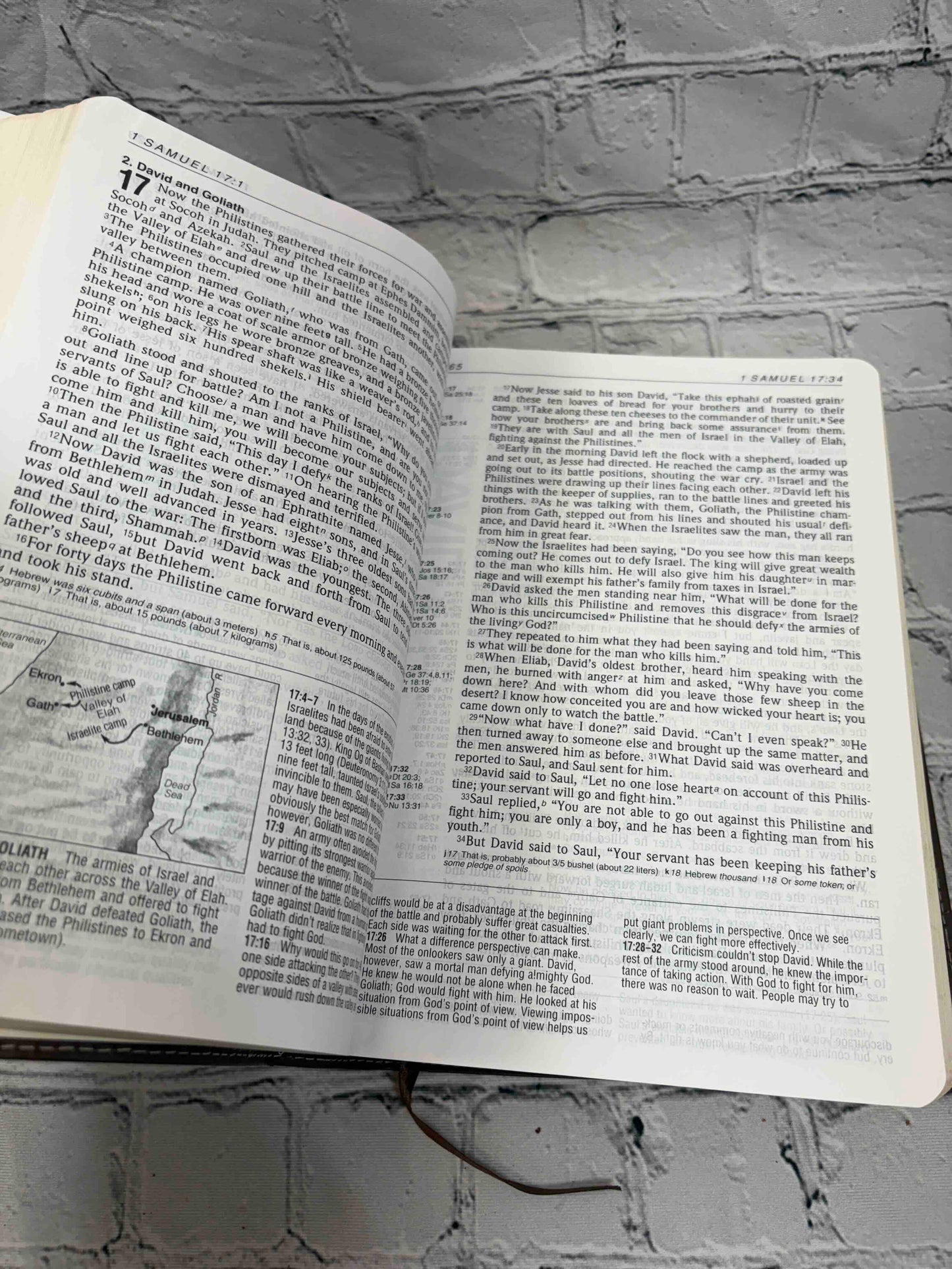 Life Application Study Bible New International Version