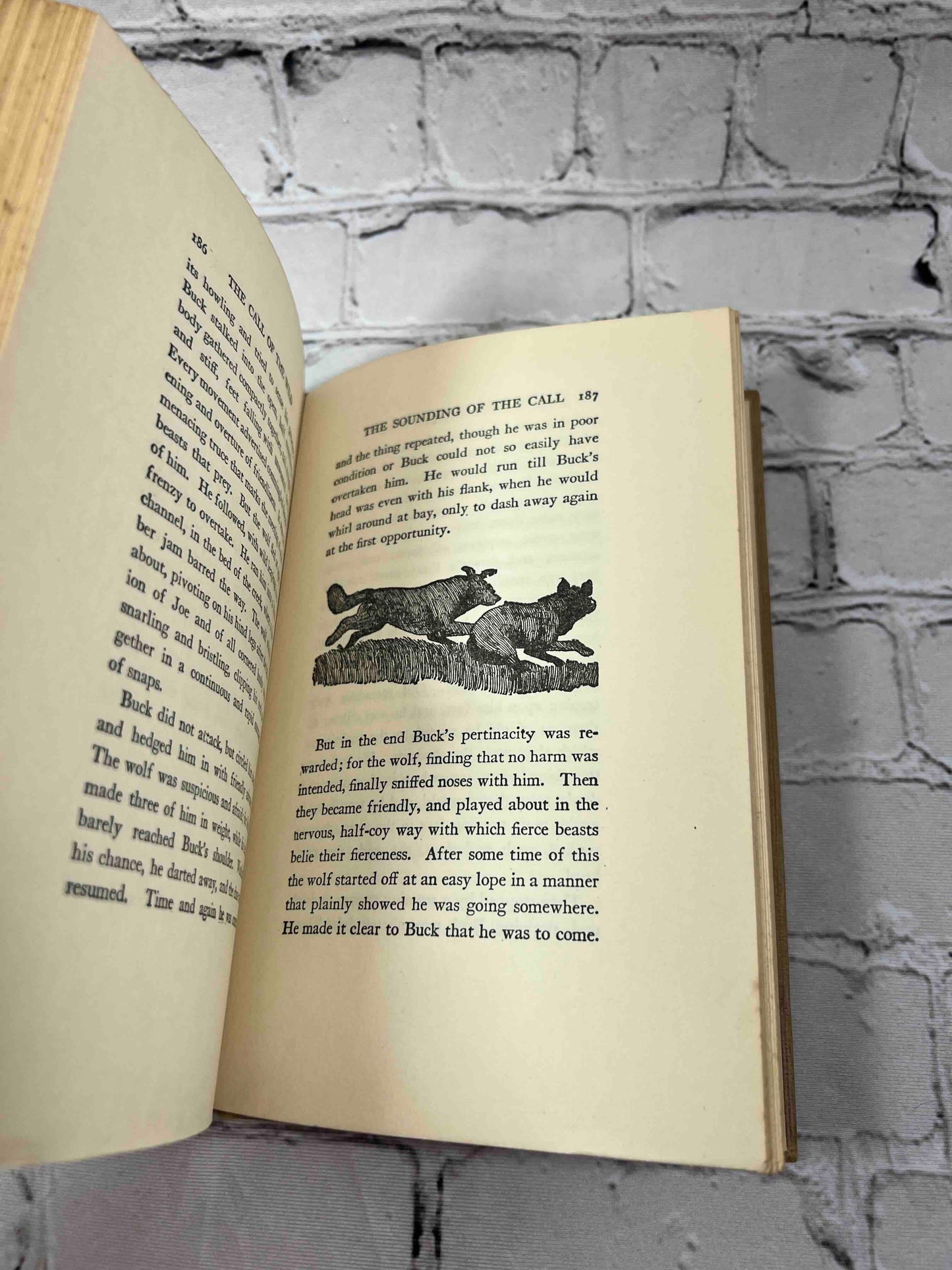 The Call of the Wild