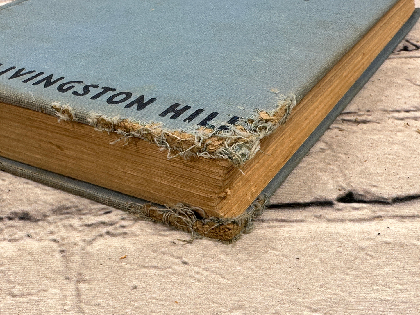 The Ransom by Hill by Grace Livingston [1933]