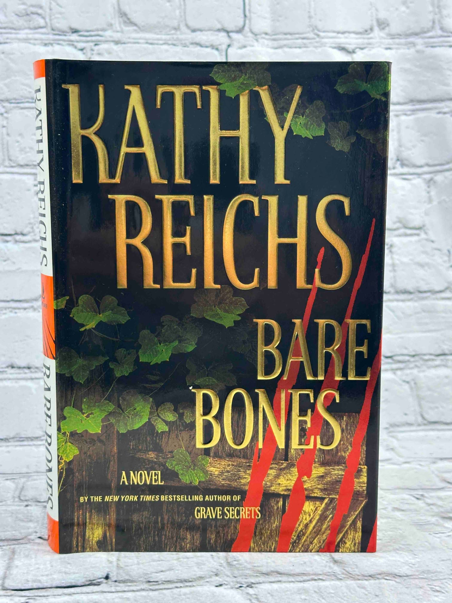 Bare Bones: A Novel