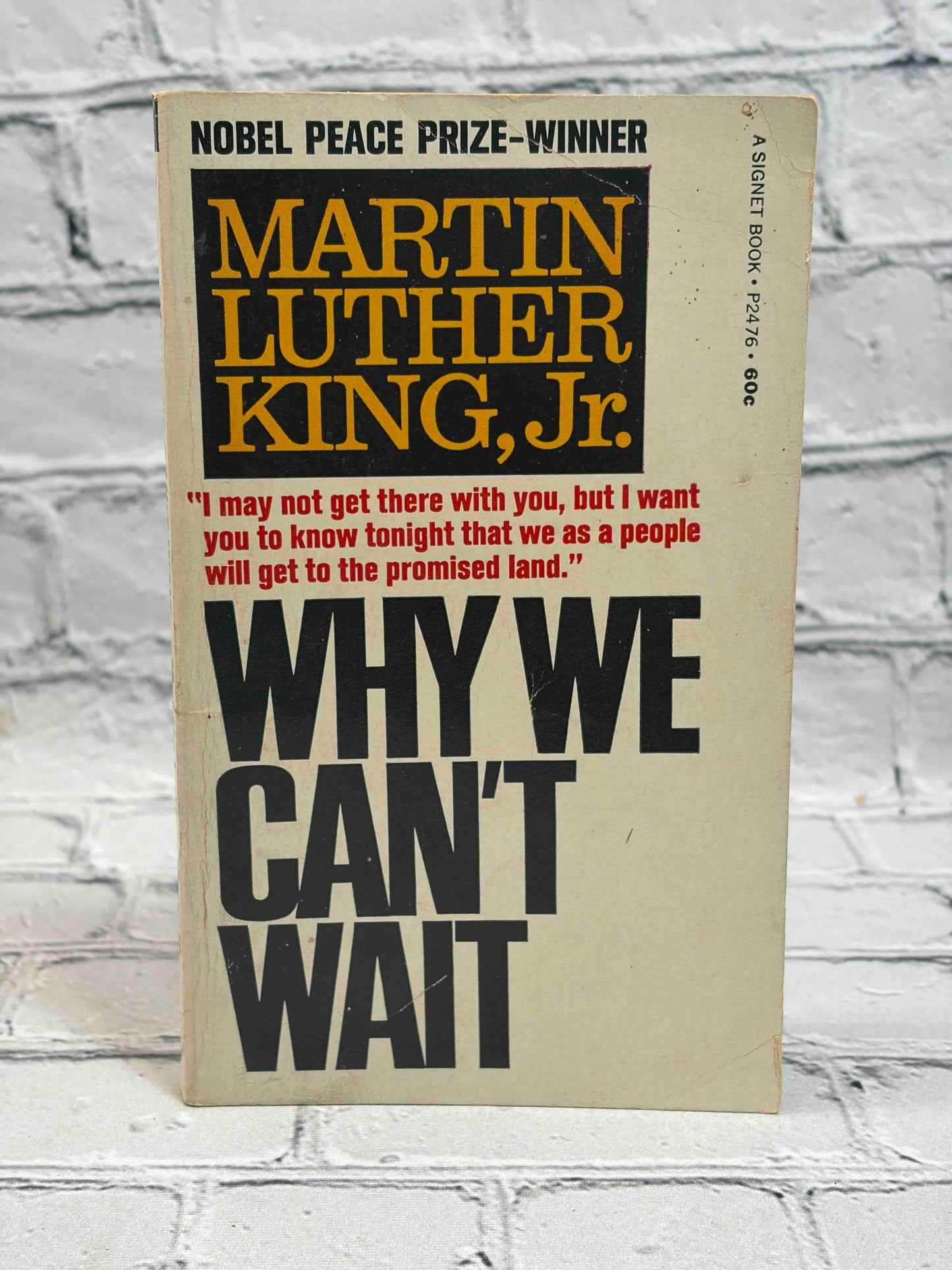 Why We Can't Wait