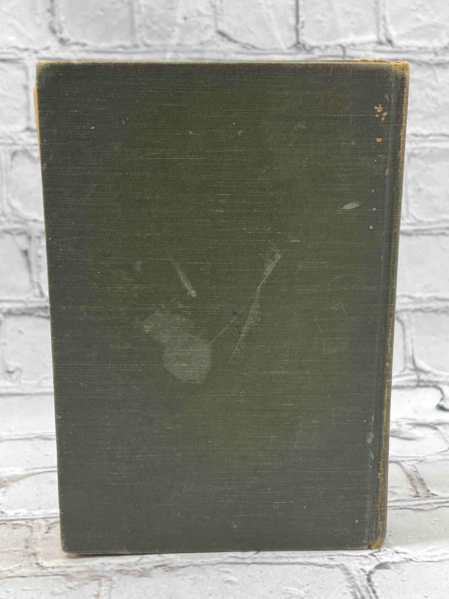 A Daughter of the Land