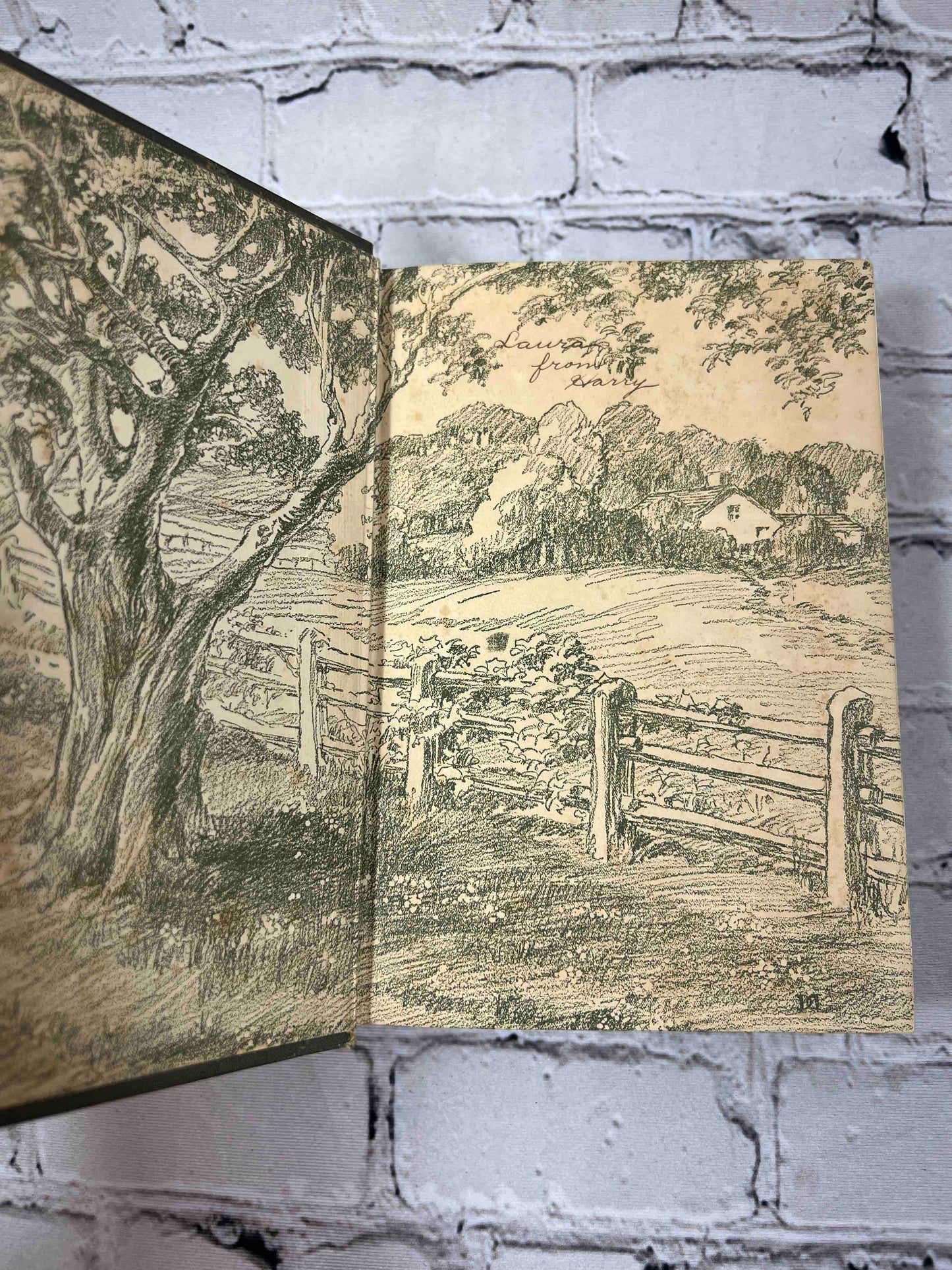 A Daughter of the Land