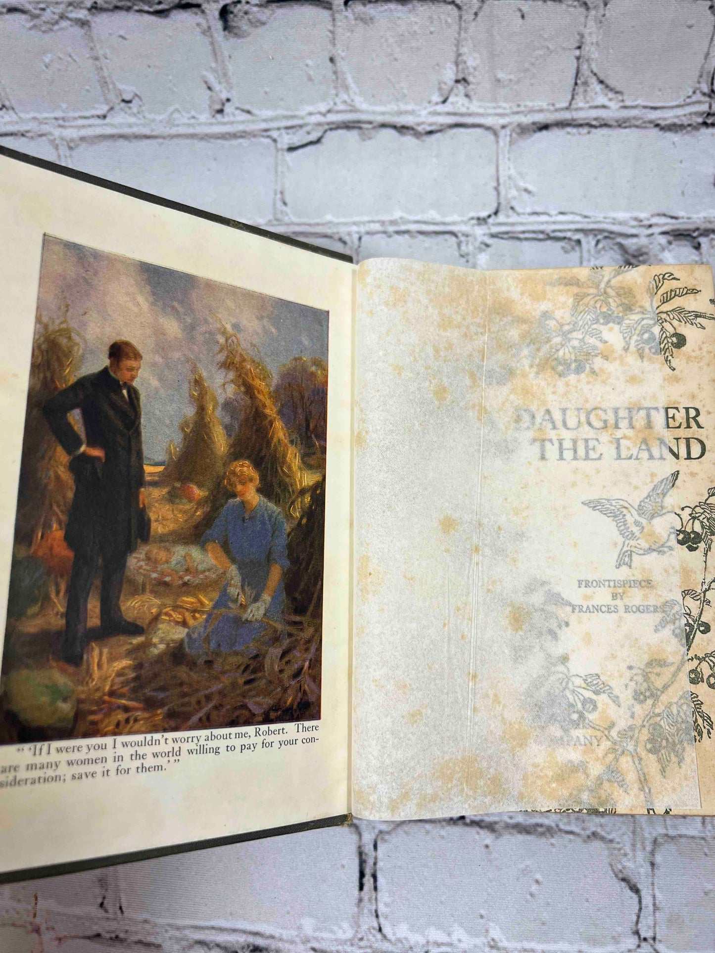 A Daughter of the Land