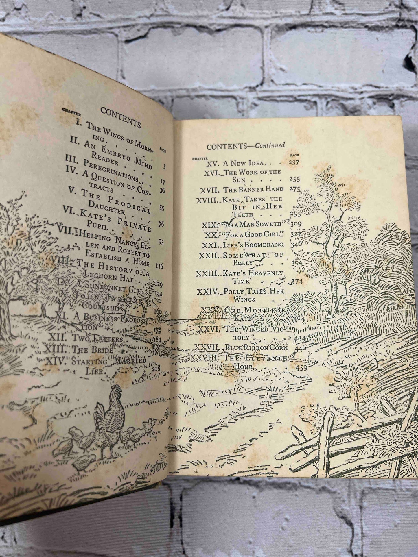 A Daughter of the Land