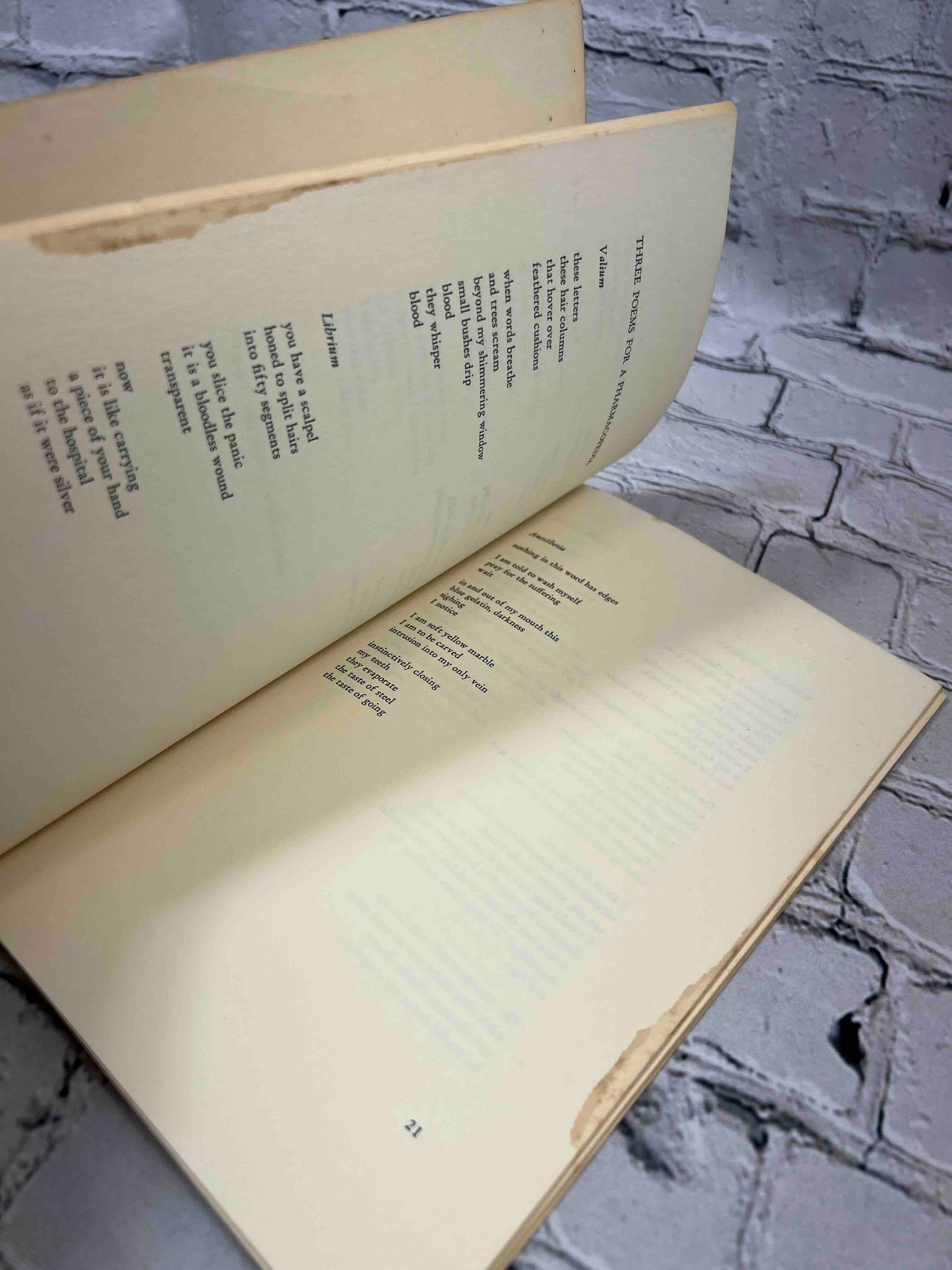 Notes from a Survivor: Women Poets of the Valley