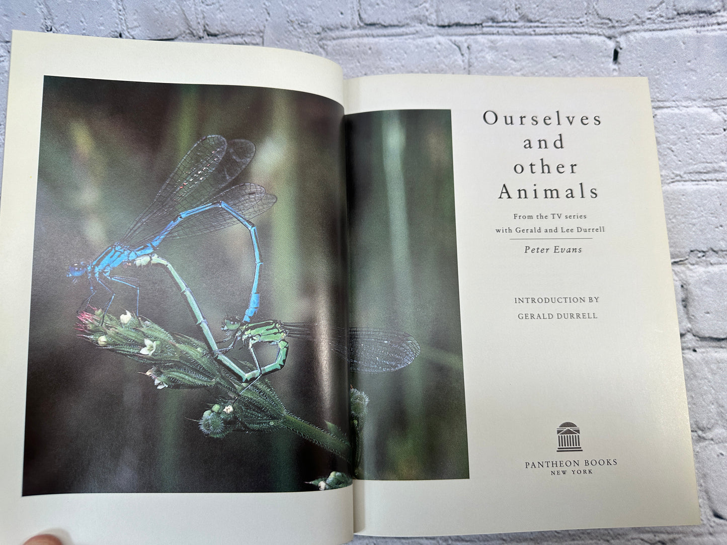 Ourselves and Other Animals by Gerald and Lee Durrell [1987 · First US Edition]