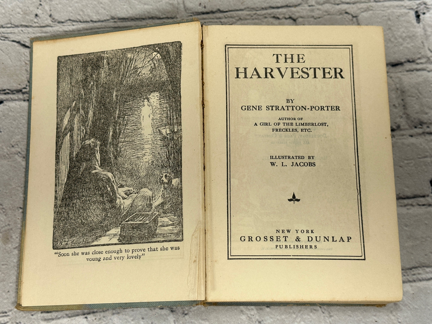 The Harvester by Gene Stratton-Porter [1916 · Second Printing]