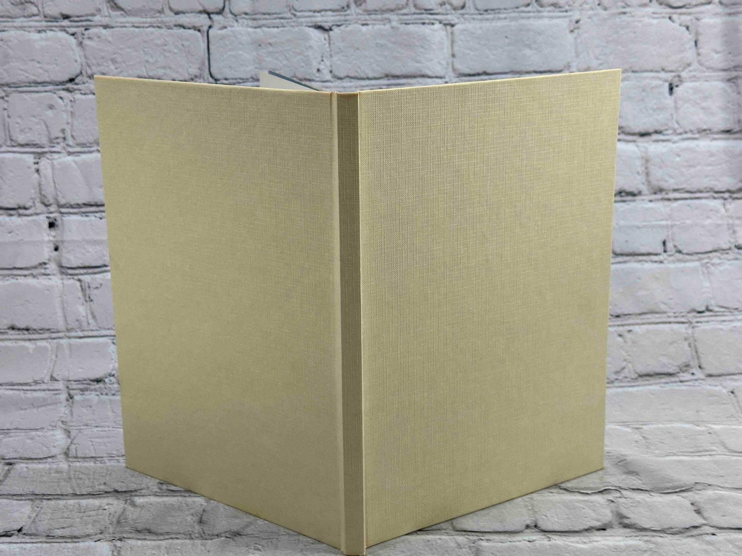 Hudson Valley: A Picture Book To Remember Her By