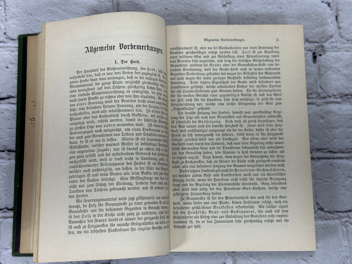 Henriette Davidis Practical Praktilches Kochbuch [German Cookbook · 1892]