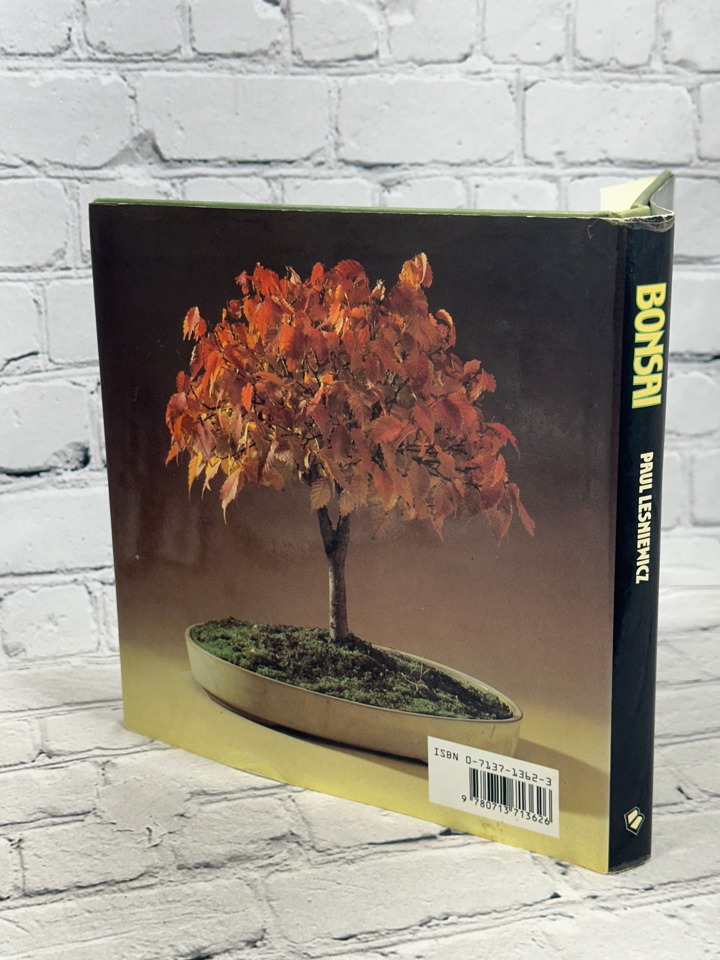 Bonsai: The Complete Guide To Art And Technique By Paul Lesniewicz [1987]