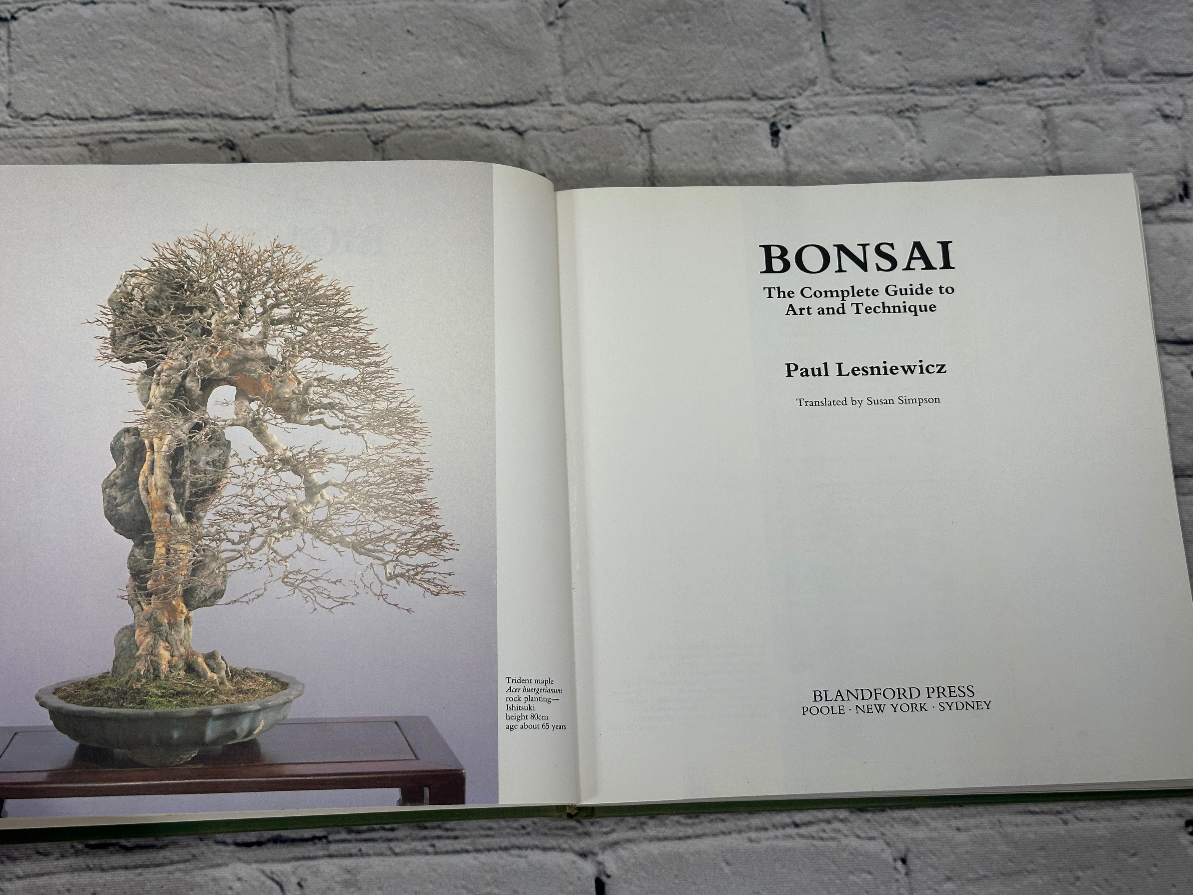 Bonsai: The Complete Guide To Art And Technique By Paul Lesniewicz