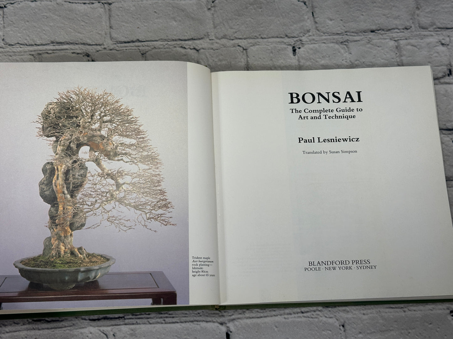 Bonsai: The Complete Guide To Art And Technique By Paul Lesniewicz [1987]