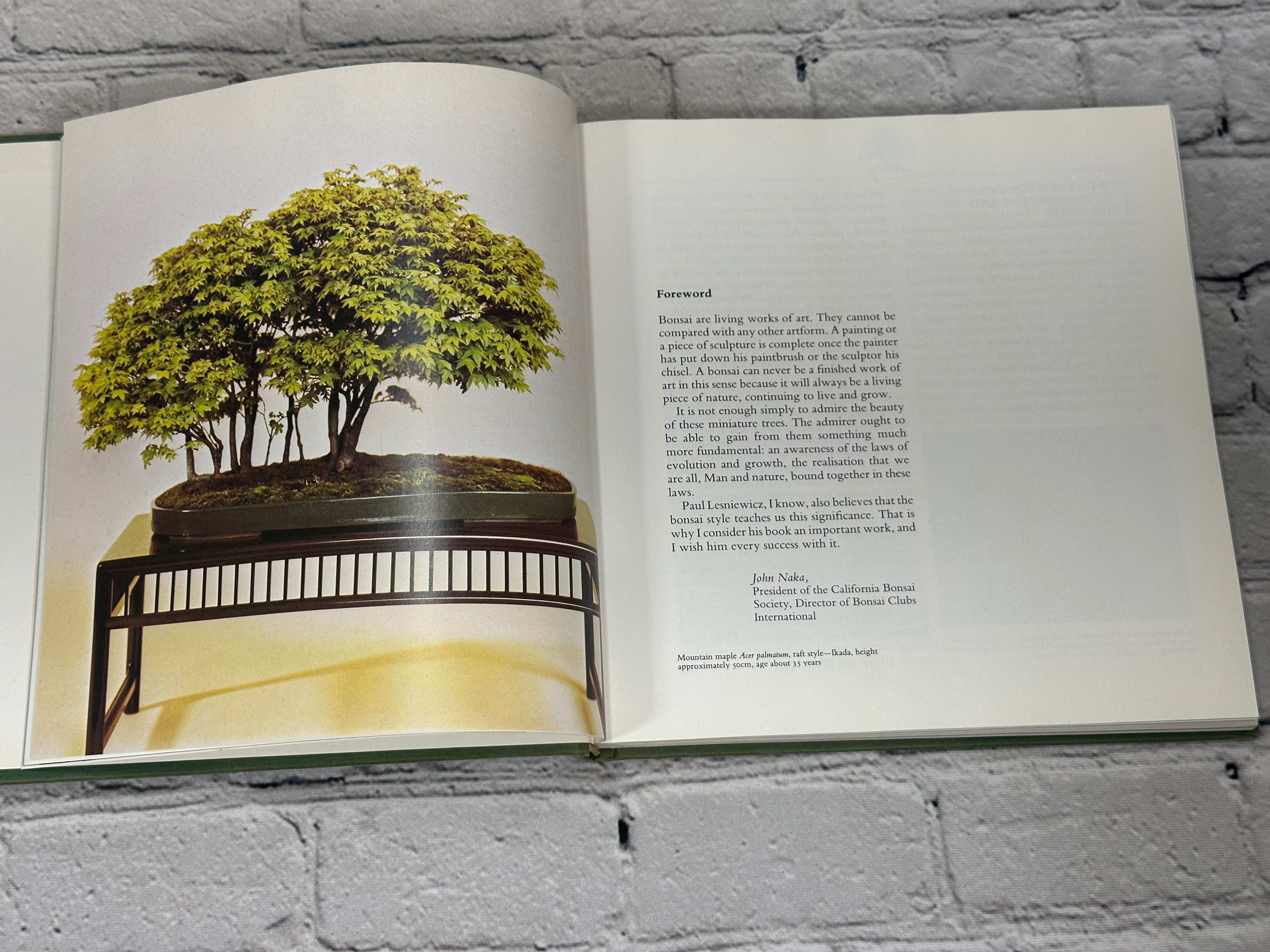 Bonsai: The Complete Guide To Art And Technique By Paul Lesniewicz