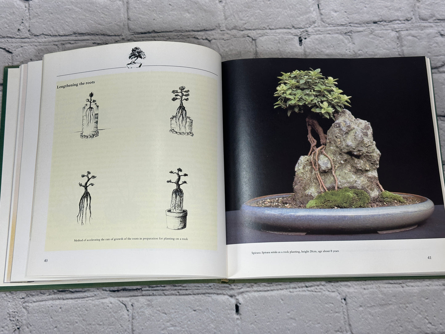 Bonsai: The Complete Guide To Art And Technique By Paul Lesniewicz [1987]