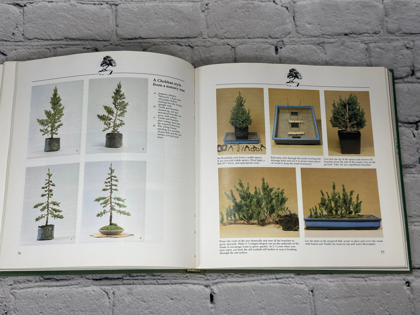 Bonsai: The Complete Guide To Art And Technique By Paul Lesniewicz [1987]