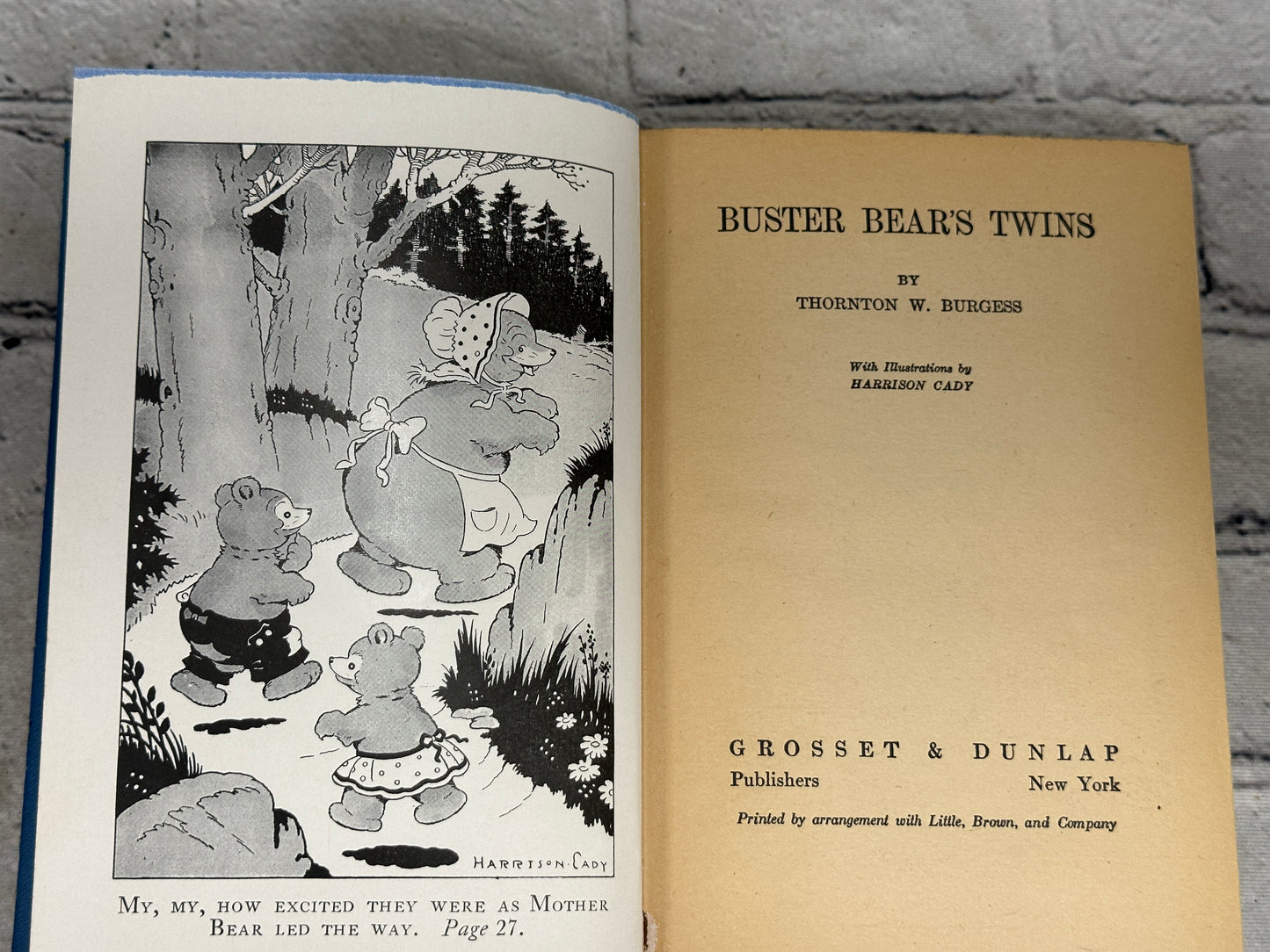 Buster Bear's Twins, Green Forest Series By Thornton W. Burgess [1923]