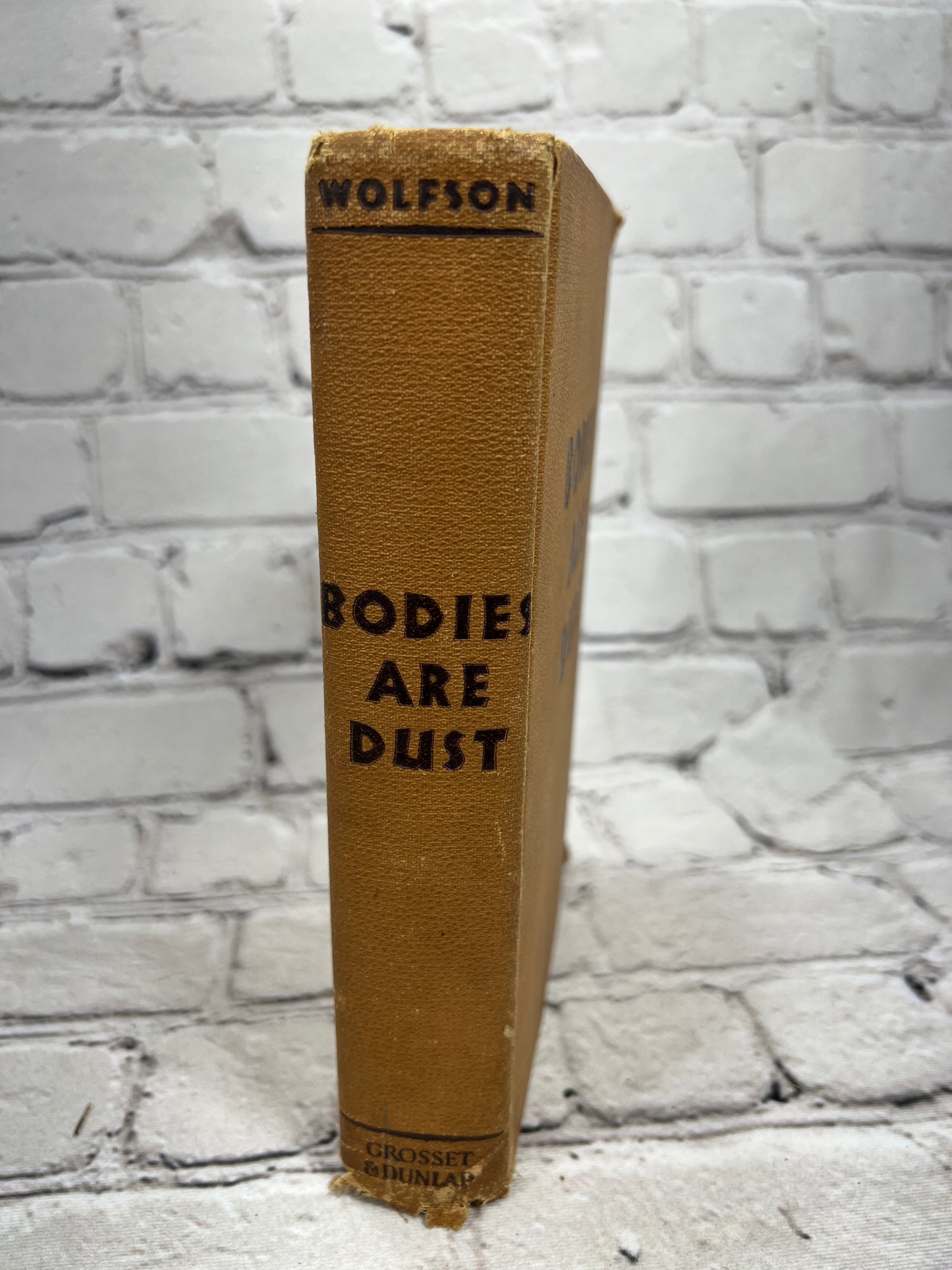 Bodies are Dust by P.J. Wolfson [1931]