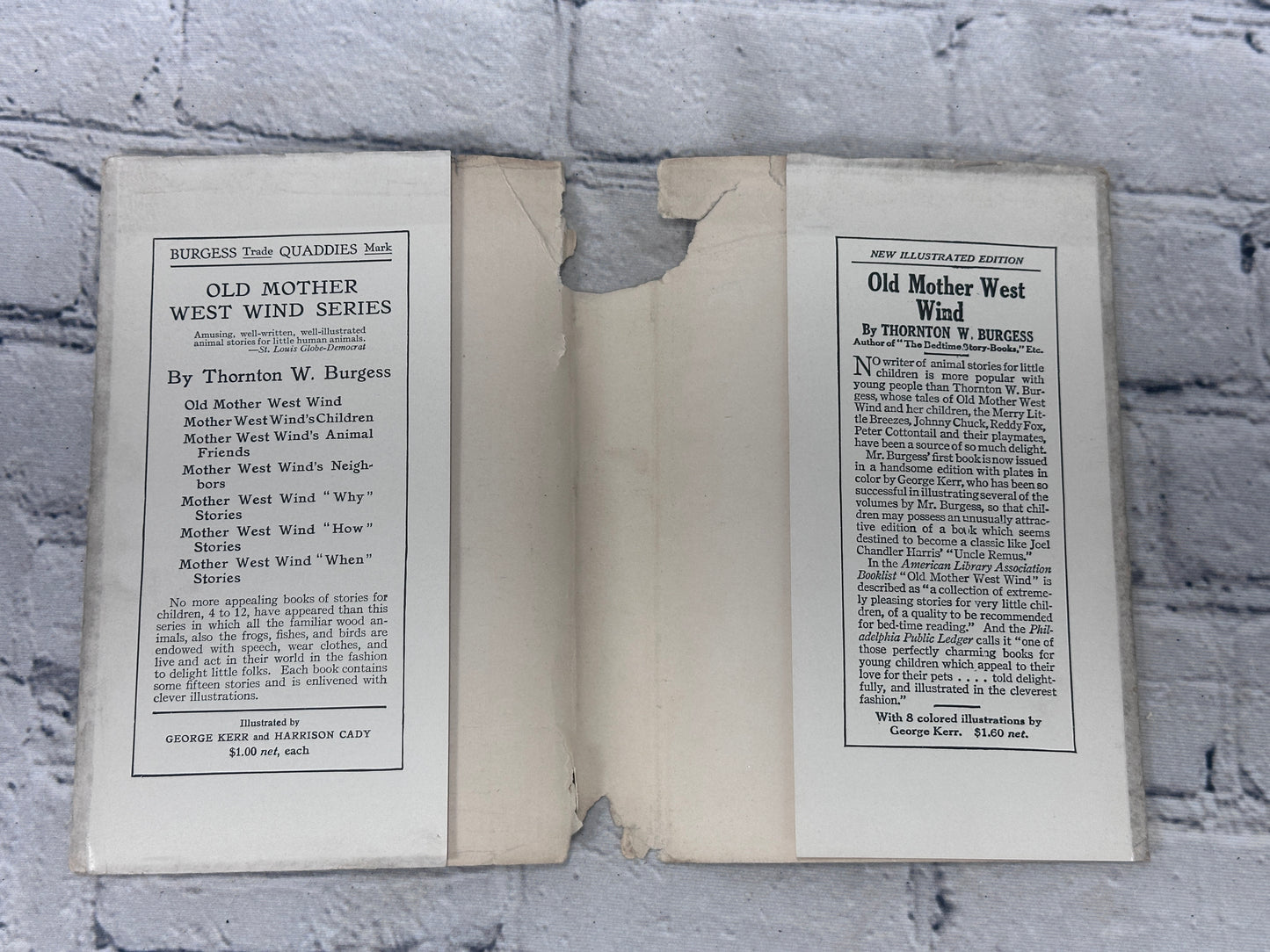 The Bedtime Story Books: Adventures of Mr. Mocker by Thornton W Burgess [1919]