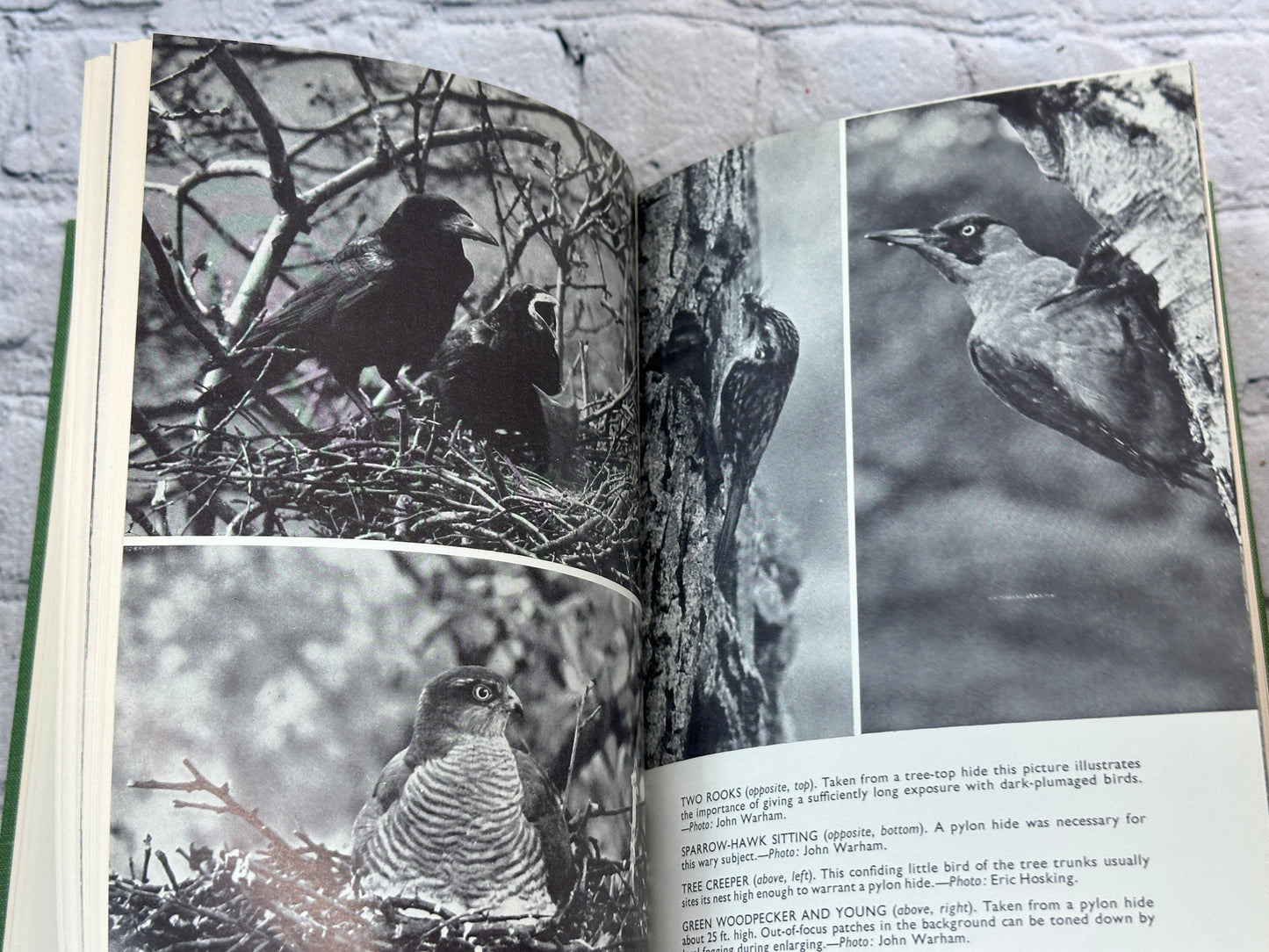 The Technique of Photographing Birds by John Warham [1966 · Second Edition]