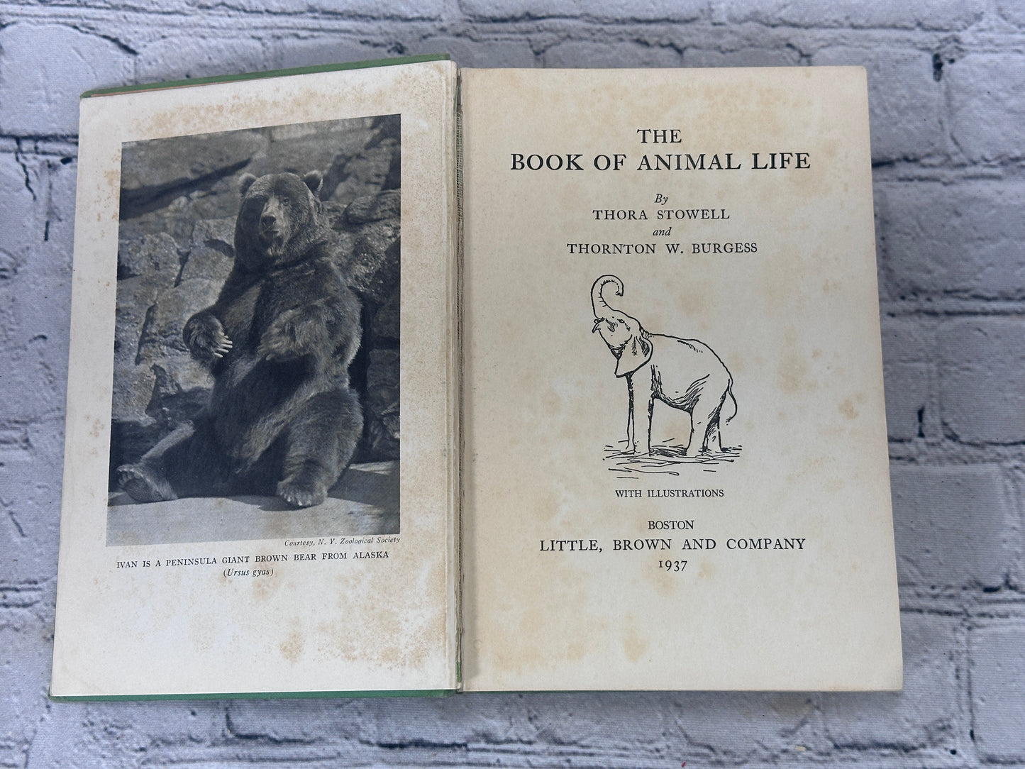 The Book of Animal Life By Thora Stowell & Thornton Burgess [1st Ed. · 1937]