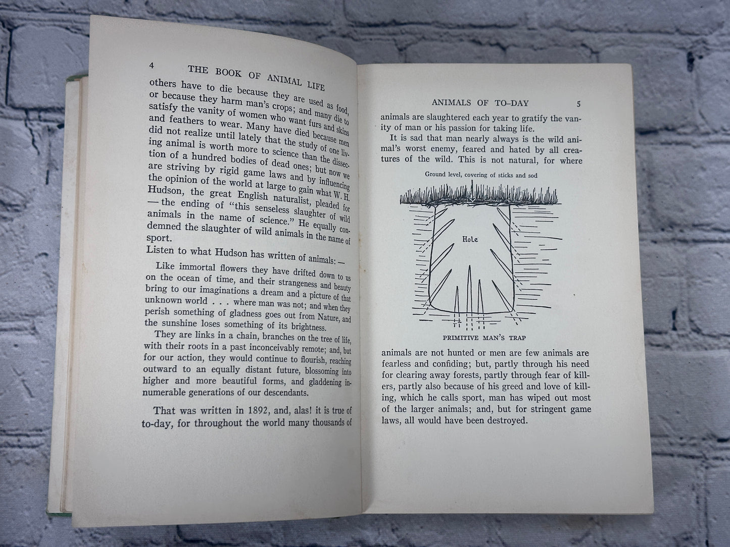 The Book of Animal Life By Thora Stowell & Thornton Burgess [1st Ed. · 1937]