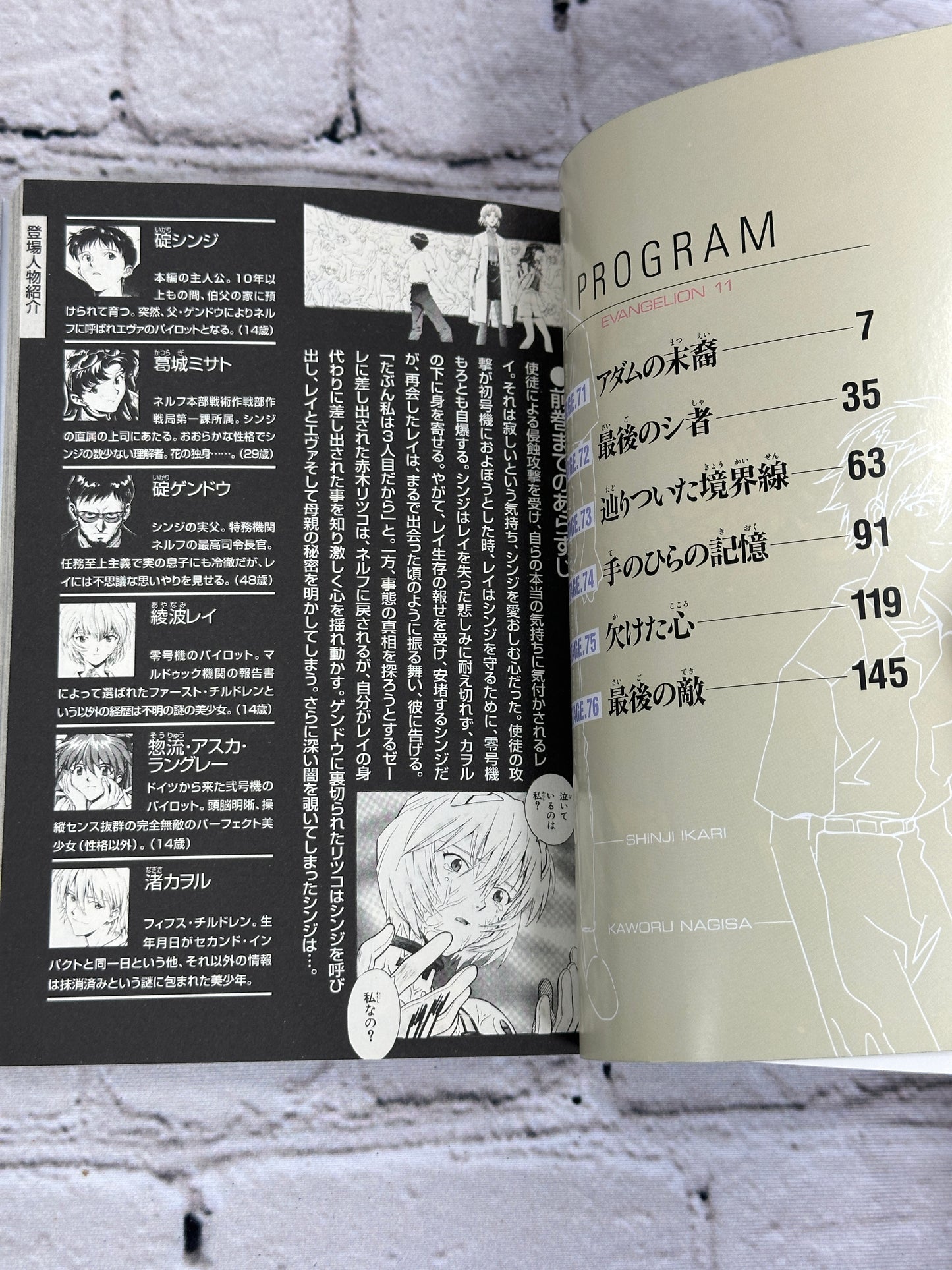 Evangelion: 13, 3.33 You Can (Not) Redo Volume 11 [2012 · Kodokawa Comics A]