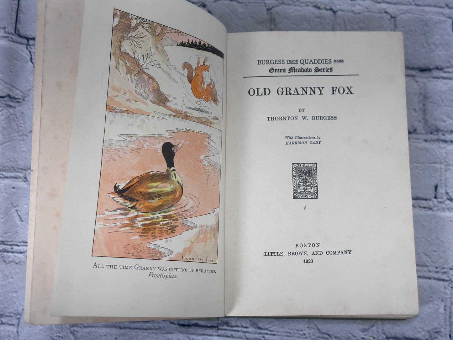 Old Granny Fox By Thornton Burgess [Green Meadow Series · 1st Edition · 1920]