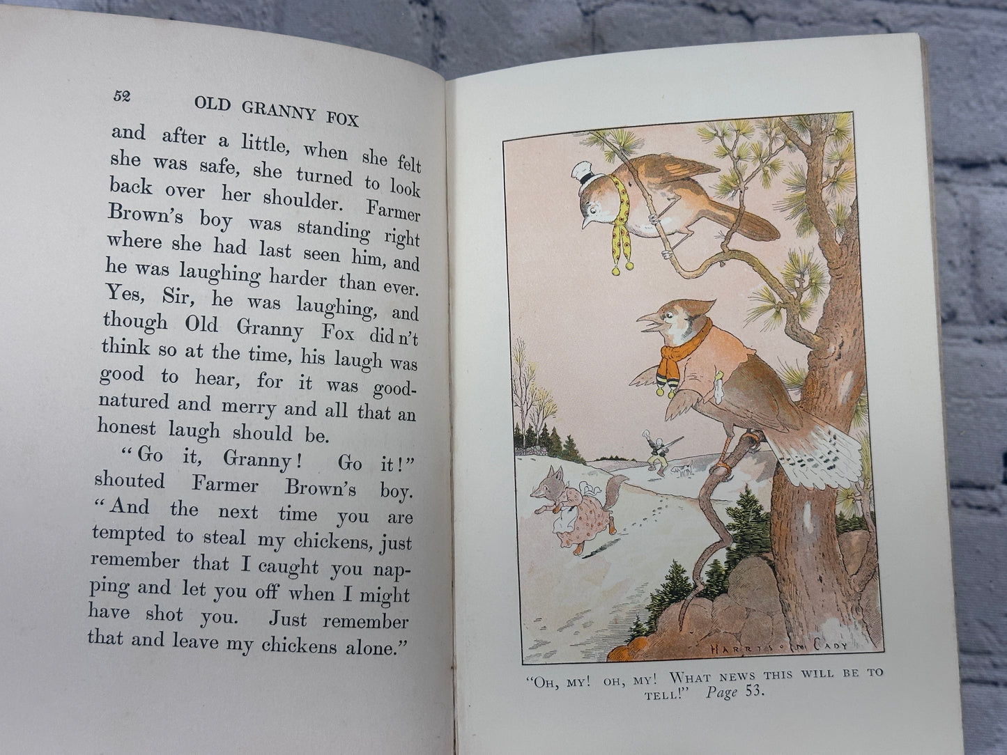 Old Granny Fox By Thornton Burgess [Green Meadow Series · 1st Edition · 1920]