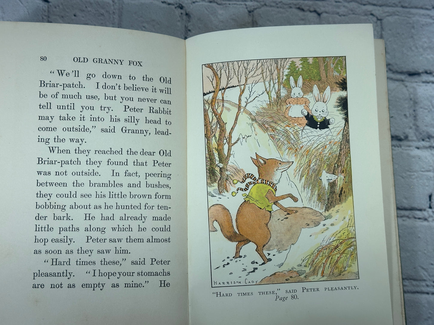 Old Granny Fox By Thornton Burgess [Green Meadow Series · 1st Edition · 1920]