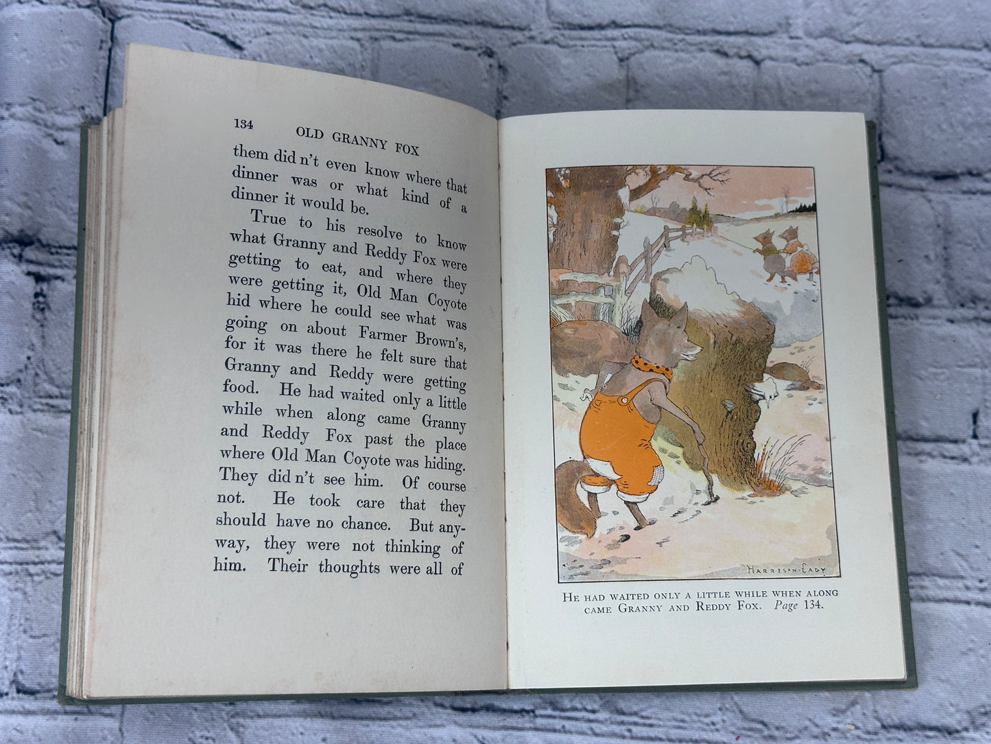 Old Granny Fox By Thornton Burgess [Green Meadow Series · 1st Edition · 1920]