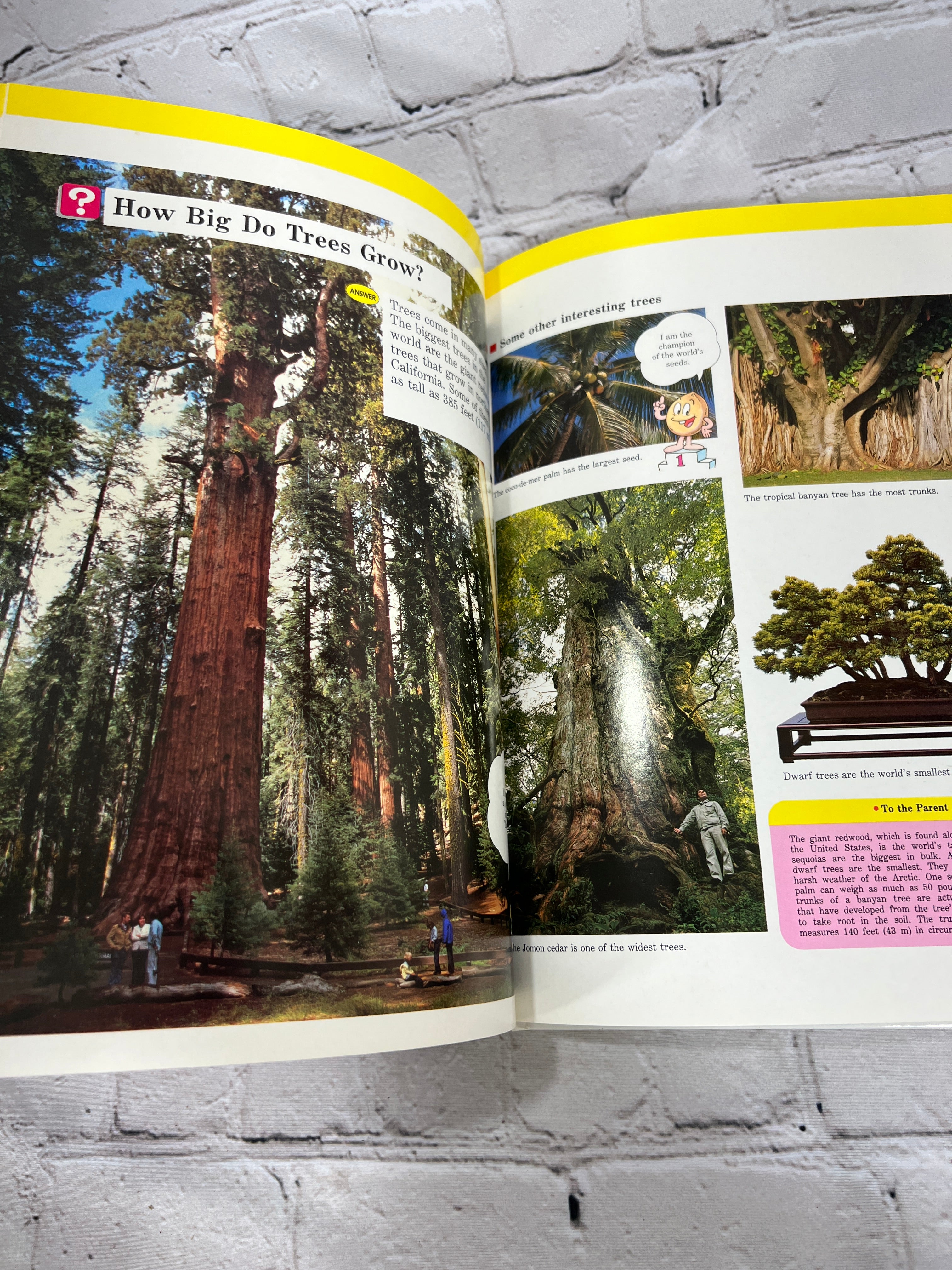 Flowers and Tress [A Childs First Library of Learning · Time-Life