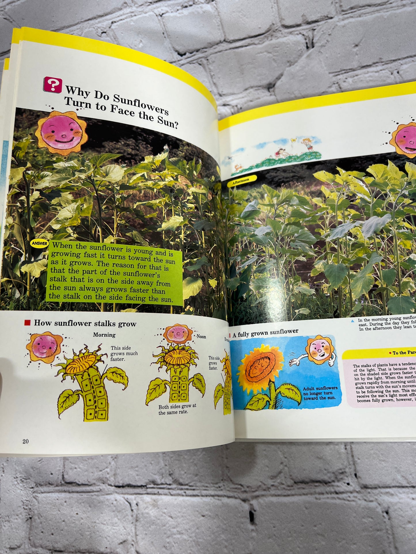 Flowers and Tress [A Childs First Library of Learning · Time-Life Books]