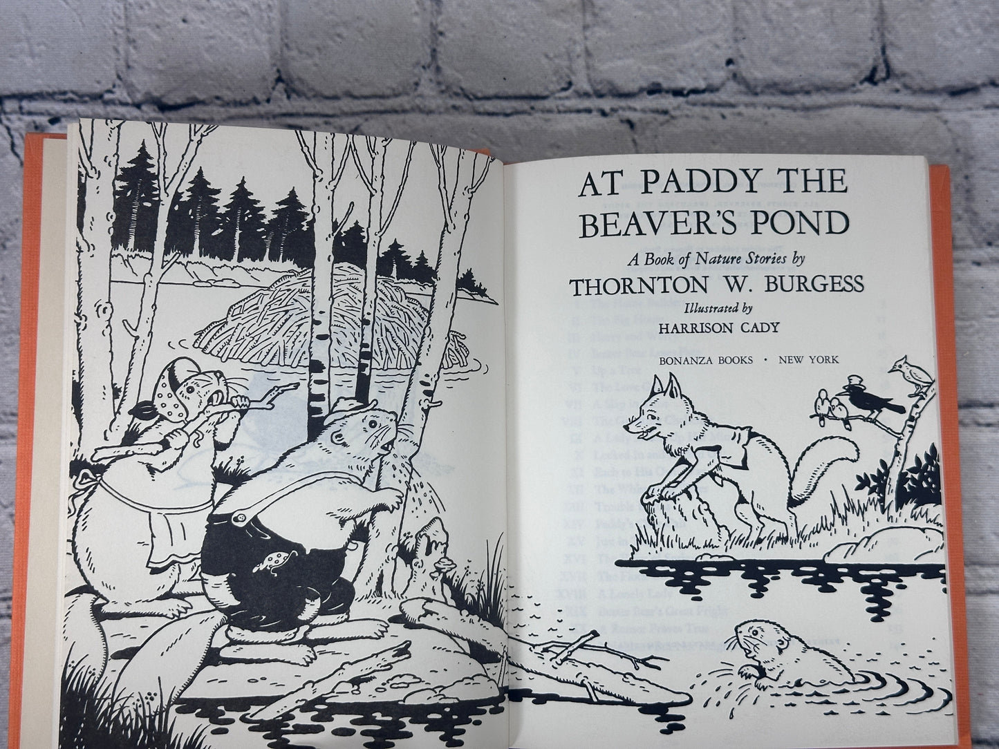 At Paddy The Beaver's Pond By Thornton Burgess [3rd Print · 1950]