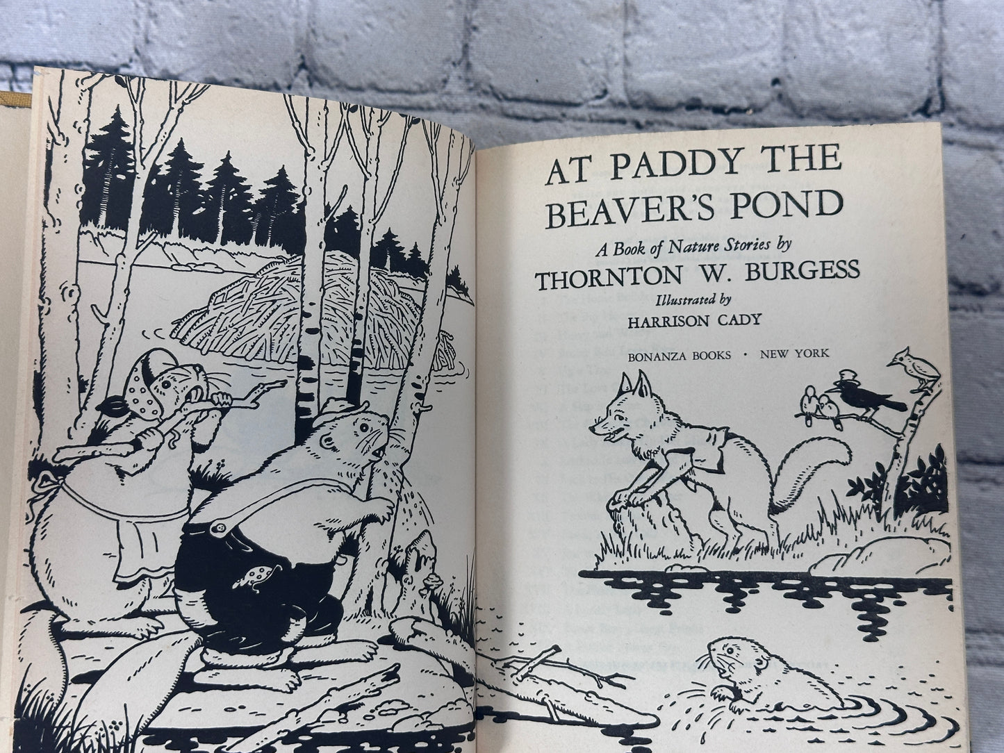 At Paddy The Beaver's Pond By Thornton Burgess [2nd Print · 1950]