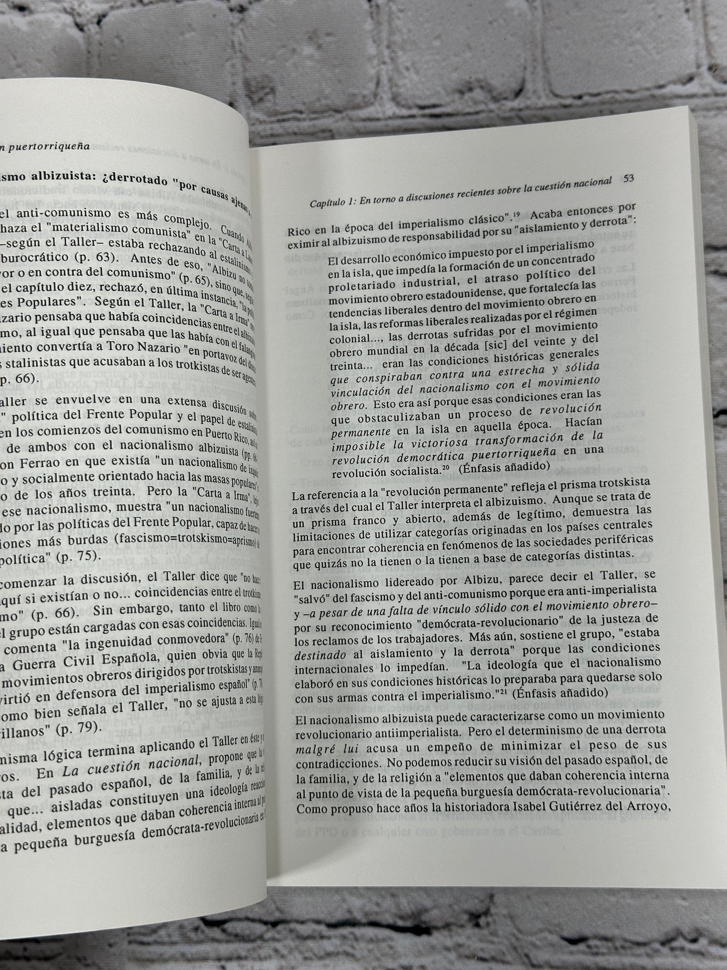 La Nacion Puertorriquena: Ensayos en Torno a Pedro Albizo Campos [1997]