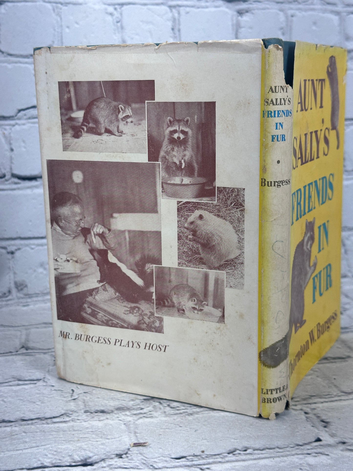 Aunt Sally’s Friends In Fur Thornton W. Burgess [1st Edition · 1955]