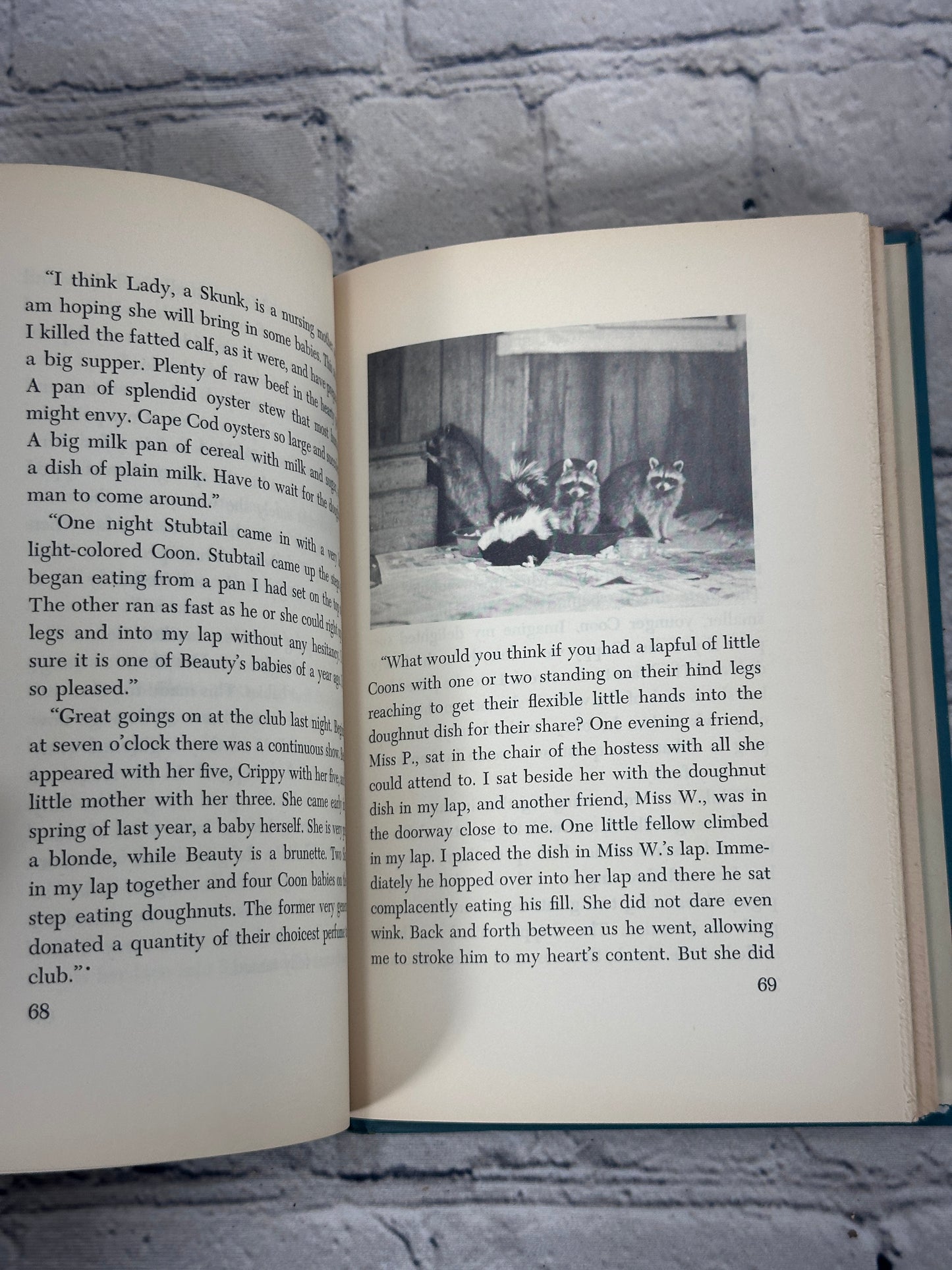 Aunt Sally’s Friends In Fur Thornton W. Burgess [1st Edition · 1955]