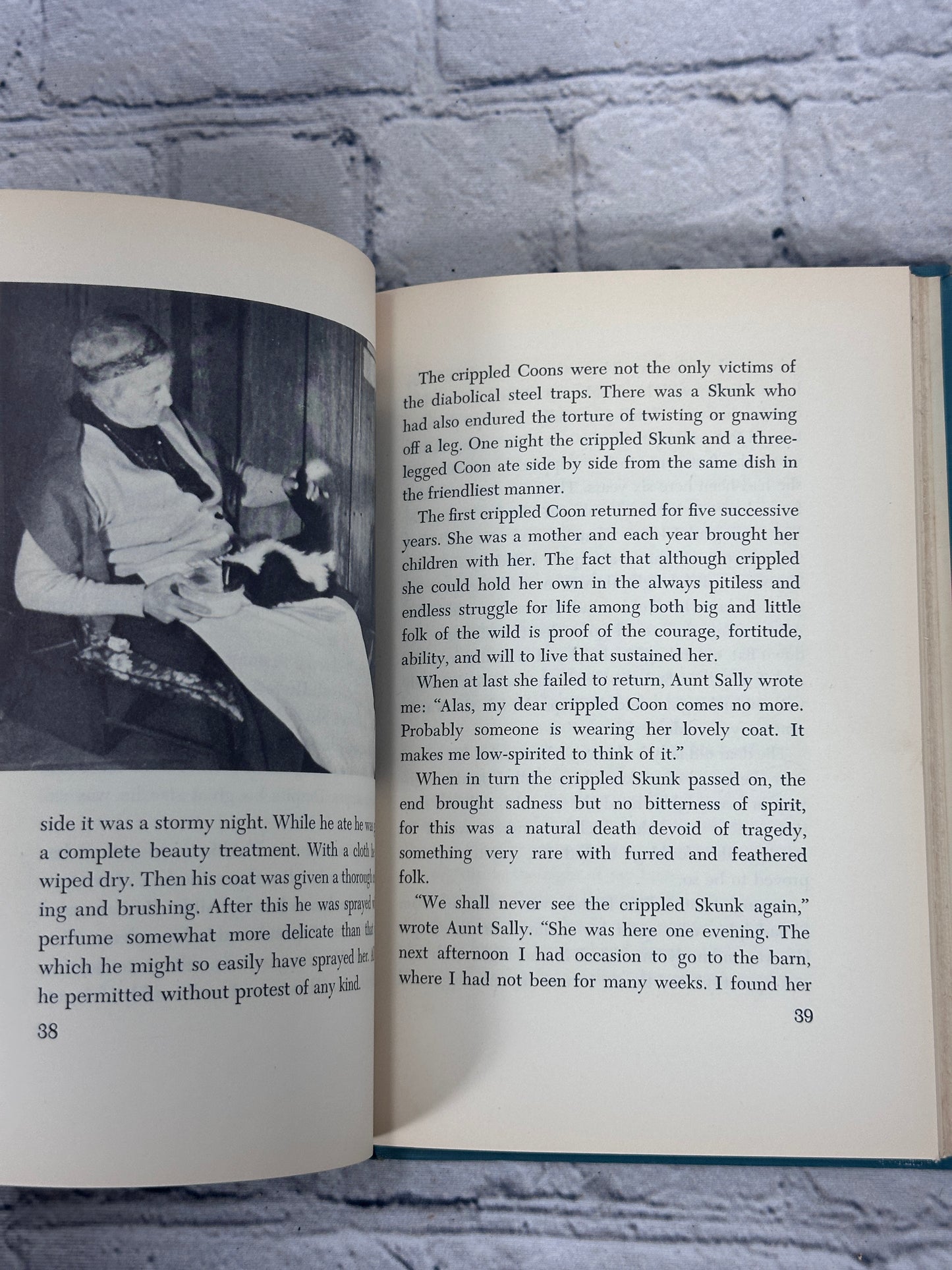 Aunt Sally’s Friends In Fur Thornton W. Burgess [1st Edition · 1955]