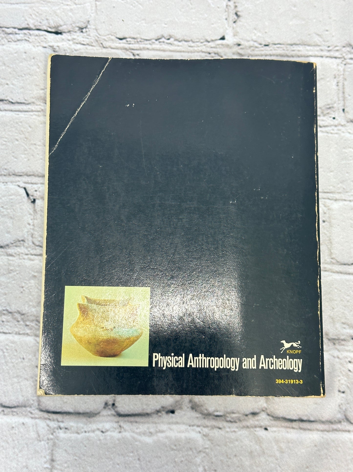 Physical Anthropology and Archeology by Fred Plog [1974 · 1st Edition]