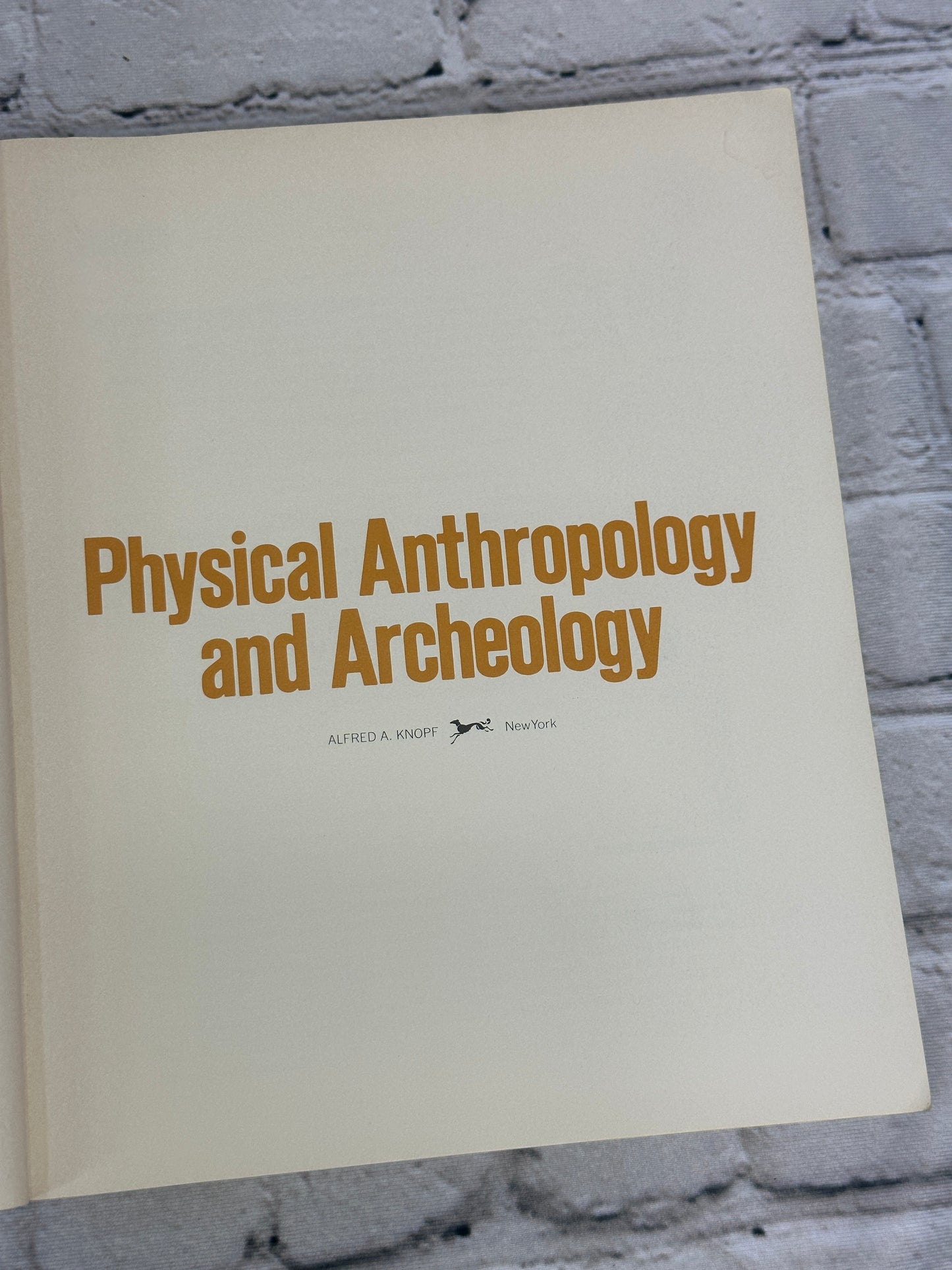 Physical Anthropology and Archeology by Fred Plog [1974 · 1st Edition]