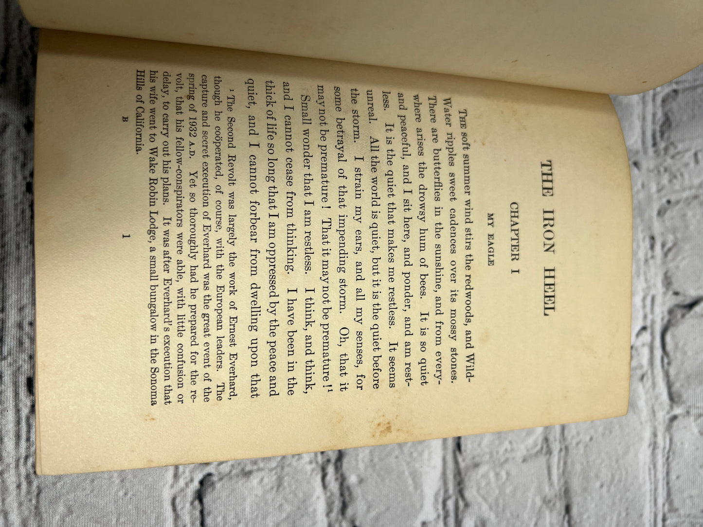 The Iron Heel by Jack London [Norwood Press · 1910]