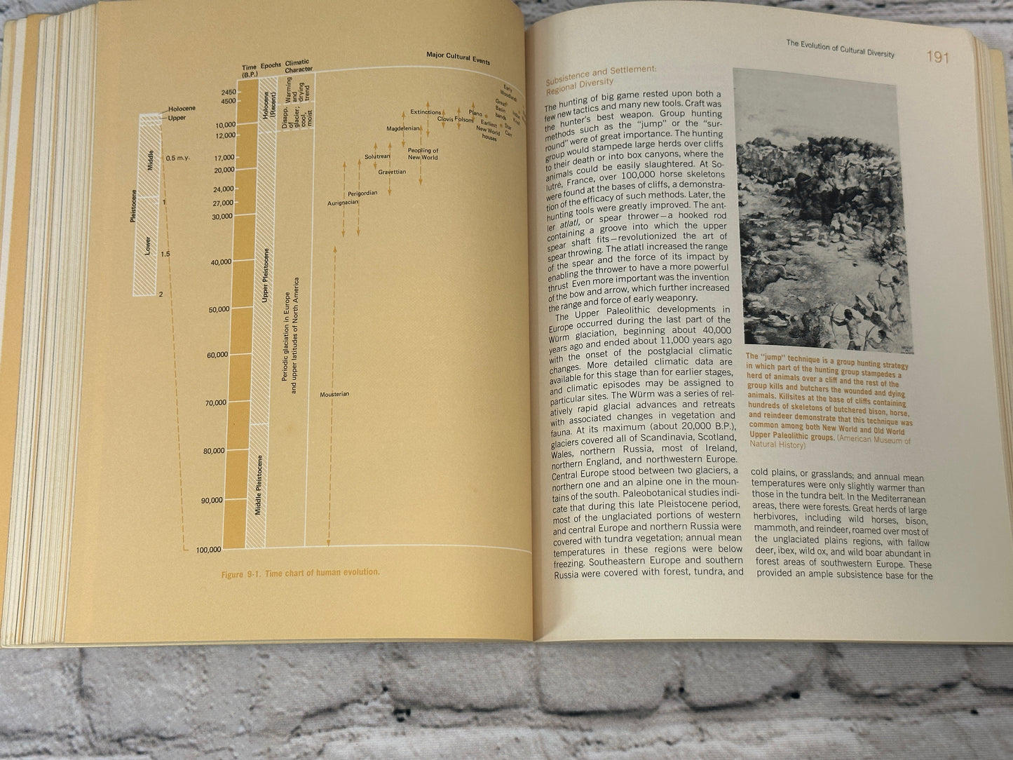 Physical Anthropology and Archeology by Fred Plog [1974 · 1st Edition]